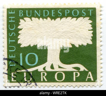 Tree drawn on a German postage stamp Stock Photo