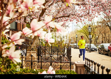 A woman running down a city street in Boston at springtime. Stock Photo