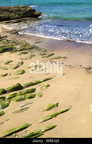 Detail of the beach, known as La Concha, in San Sebastian city. Stock Photo