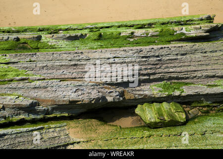 Detail of the beach, known as La Concha, in San Sebastian city. Stock Photo