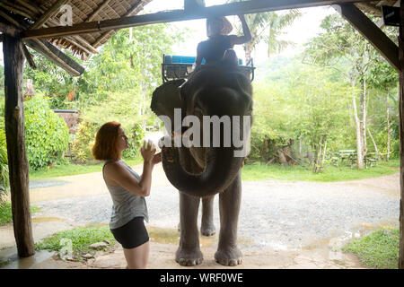 Asian natural scenery. Young red-haired girl feeding an elephant after a walk. Popular attraction in Thailand Stock Photo