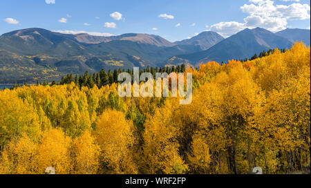 Autumn Mountains - A panorama of a dense aspen forest in a valley at base of towering Sawatch Range of Colorado Rocky Mountains. Twin Lakes, CO, USA. Stock Photo