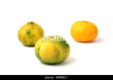 mandarin satsuma orange isolated on white background Stock Photo