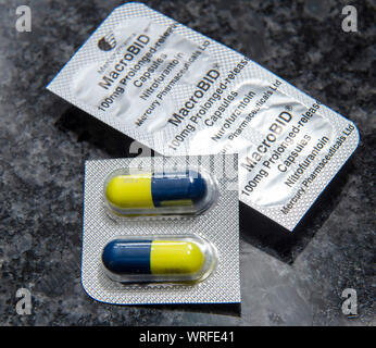 is it ok to take amoxicillin with nitrofurantoin
