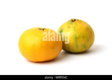 mandarin satsuma orange isolated on white background Stock Photo