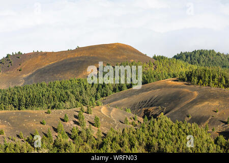 View from the Montana la Barquita in red lava landscape on the Cumbre Vieja in La Palma, Spain down to some colorful volcano craters. Stock Photo