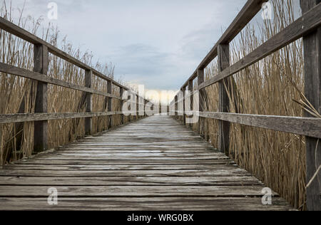 Wooden walkway in nature and sunset sky at Unesco world heritage lake Federsee in Bad Buchau, Germany Stock Photo