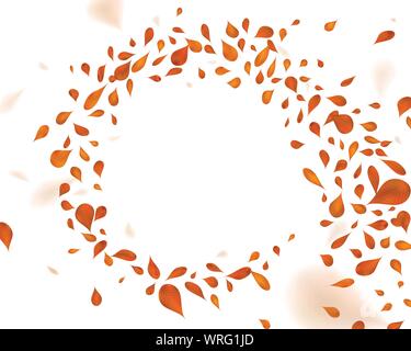 Swirling brown leafs in the wind. Stock Vector