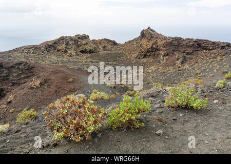 Lava and craters near the volcano San Antonio in the south of La Palma, Spain. Stock Photo