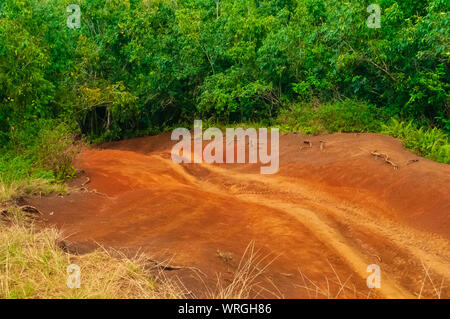 ATV tracks in the red dirt on the tropical island of Kauai, Hawaii, USA Stock Photo