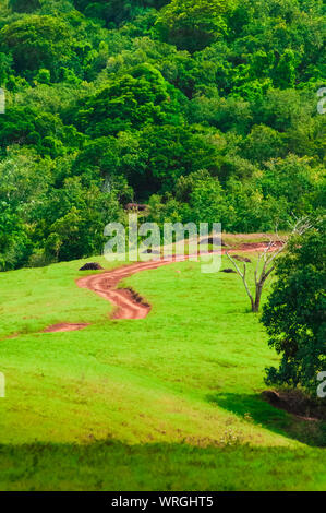 ATV tracks in the red dirt on the tropical island of Kauai, Hawaii, USA Stock Photo