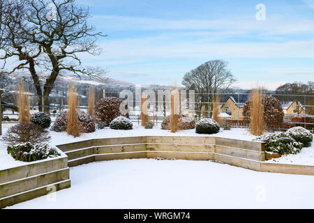 Stylish, contemporary design, landscaping & planting on wooden raised bed (topiary & grasses) - snow covered winter garden, Yorkshire, England, UK. Stock Photo