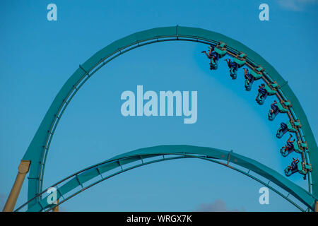 Orlando, Florida. August 31, 2019. People enjoying loop in amazing Kraken rollercoaster at Seaworld Stock Photo