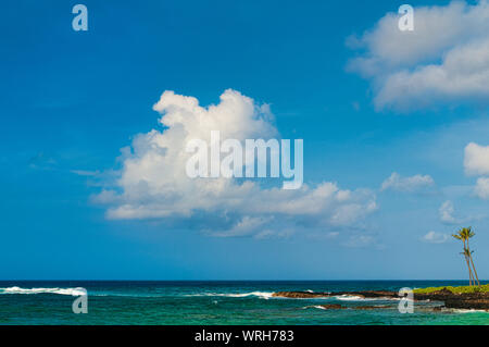 Palm trees overlooking the Pacific Ocean on the island of Kauai, Hawaii, USA Stock Photo