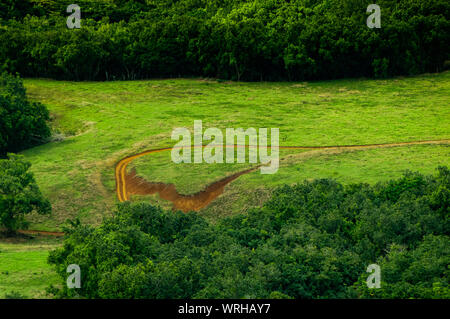 ATV tracks in the red dirt on the tropical island of Kauai, Hawaii, USA Stock Photo