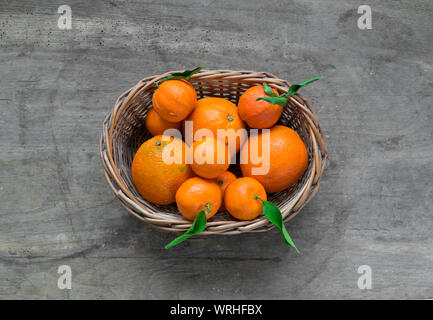 Mandarin oranges with leaves in white basket on rustic wood background. Citrus just from the tree.Organic veg food.Winter fruits. Stock Photo