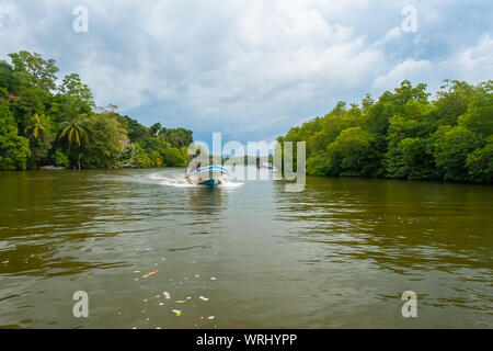 boat with people. Madu River Safari Stock Photo