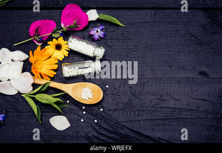 Homeopathic Medicine pills in jars and on wood spoon, decorated with fresh various herbal plants. Homeopathy concept, lot of room for text. Stock Photo