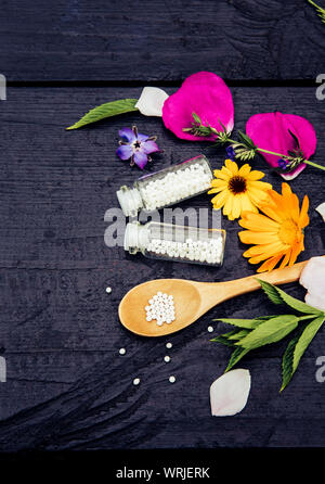 Homeopathic Medicine pills in jars and on wood spoon, decorated with fresh various herbal plants. Homeopathy concept, lot of room for text. Stock Photo