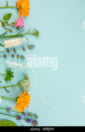 Flat lay view homeopathic medicine pills in jars and spilled around on light blue background, decorated with fresh various herbs and plants, flowers. Stock Photo