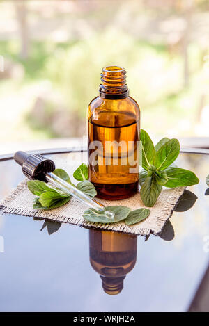 Peppermint essential oil or infusion in brown medical pipette bottle with decorative fresh mint branches on glass table, blur background. Stock Photo