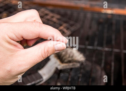 Person hand show loose bristle form bristol grill cleaning brush. Danger when it sticks to meat and person accidentally swallows it. Digestion damage. Stock Photo