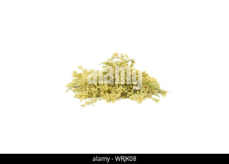 Dried Filipendula ulmaria, commonly known as meadowsweet or mead wort isolated on white background. Dried organic herbal tea concept. Stock Photo