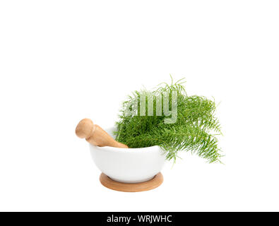 Bunch of herbal plant Equisetum arvense the field horsetail or common horsetail in white mortar and tea infusion next to it, yellow background with co Stock Photo