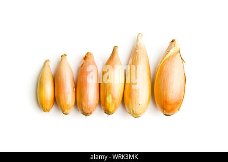 The golden shallot onion isolated on white background. Fresh bulbs. Stock Photo