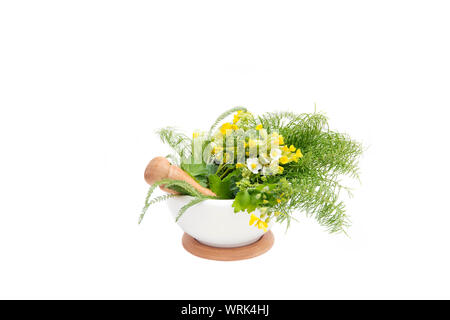 Lot of different medicinal herbs inside of mortar with pestle isolated on white background. Lot of copy space, medicine concept. Stock Photo