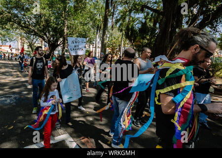 Crowd in the streets marching for amazonia and less pesticides in a pro environment protest during the brazilian independence day Stock Photo