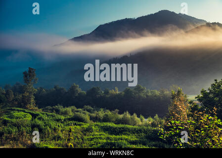 Mountains and morning fog over the forest Stock Photo