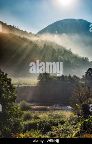 Mountains and morning fog over the forest Stock Photo