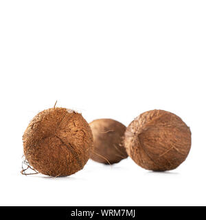 Three shaggy coconuts on white background, square Stock Photo