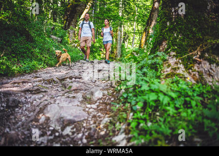 Couple with a small yellow dog hiking in forest Stock Photo