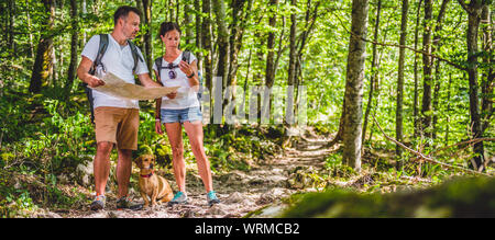 Hiking couple with small yellow dog checking map in forest Stock Photo