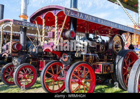 Blandford Forum.Dorset.United Kingdom.August 24th 2019.A row of traction engines is on display at The Great Dorset Steam Fair. Stock Photo