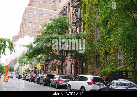 Urban gardening, ivy climbing up exterior wall of a building in New York City. Stock Photo