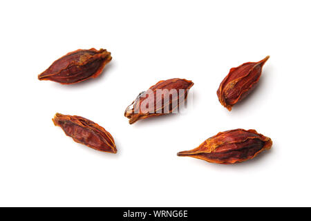 dried gardenia fruits closeup isolated on white background Stock Photo