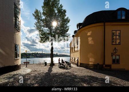 Stockholm, Sweden. September 2019.  the sun in the branches of a tree in the city center in Gamla Stan island Stock Photo