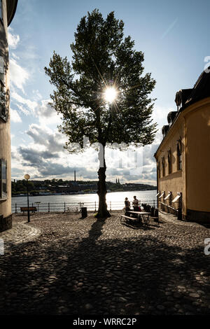 Stockholm, Sweden. September 2019.  the sun in the branches of a tree in the city center in Gamla Stan island Stock Photo