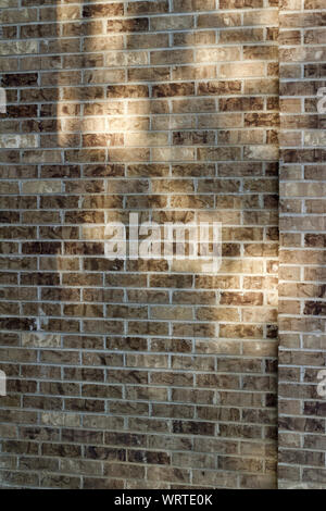 Attractive modern brick wall background with textured bricks in shades of beige and brown, showing tree shadows cast from low angle sun Stock Photo