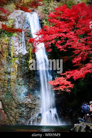 Mino Waterfall At The Mino Quasi National Park Osaka Japan Stock Photo Alamy