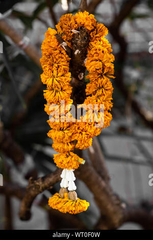 withered garland