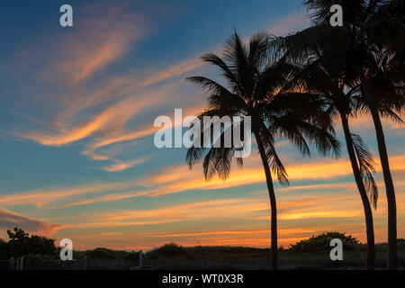 Palm trees on Paradise beach at sunrise in tropical island Stock Photo