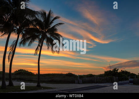 Palm trees on Paradise beach at sunrise in tropical island Stock Photo