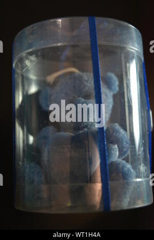 Blue teddy bear made of natural wax is made in the shape of a candle and packed in a plastic box with blue bow on black glossy background. Stock Photo
