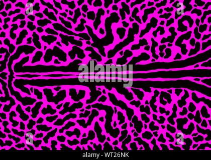 King cheetah skin pattern design. Cheetah spots print vector illustration background. Wildlife fur skin design illustration for print, web, home decor Stock Vector