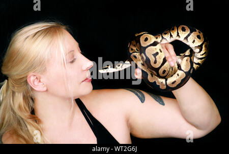 Portrait of girl with Royal Python snake. Beautiful woman holds snake in hands and posing in front of camera. Stock Photo