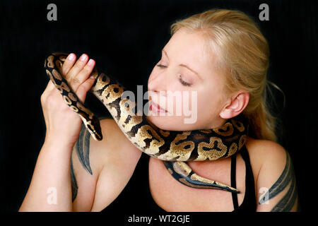 Portrait of girl with Royal Python snake. Woman holds Ball Python snake around neck and in hands, posing in front the camera. Stock Photo